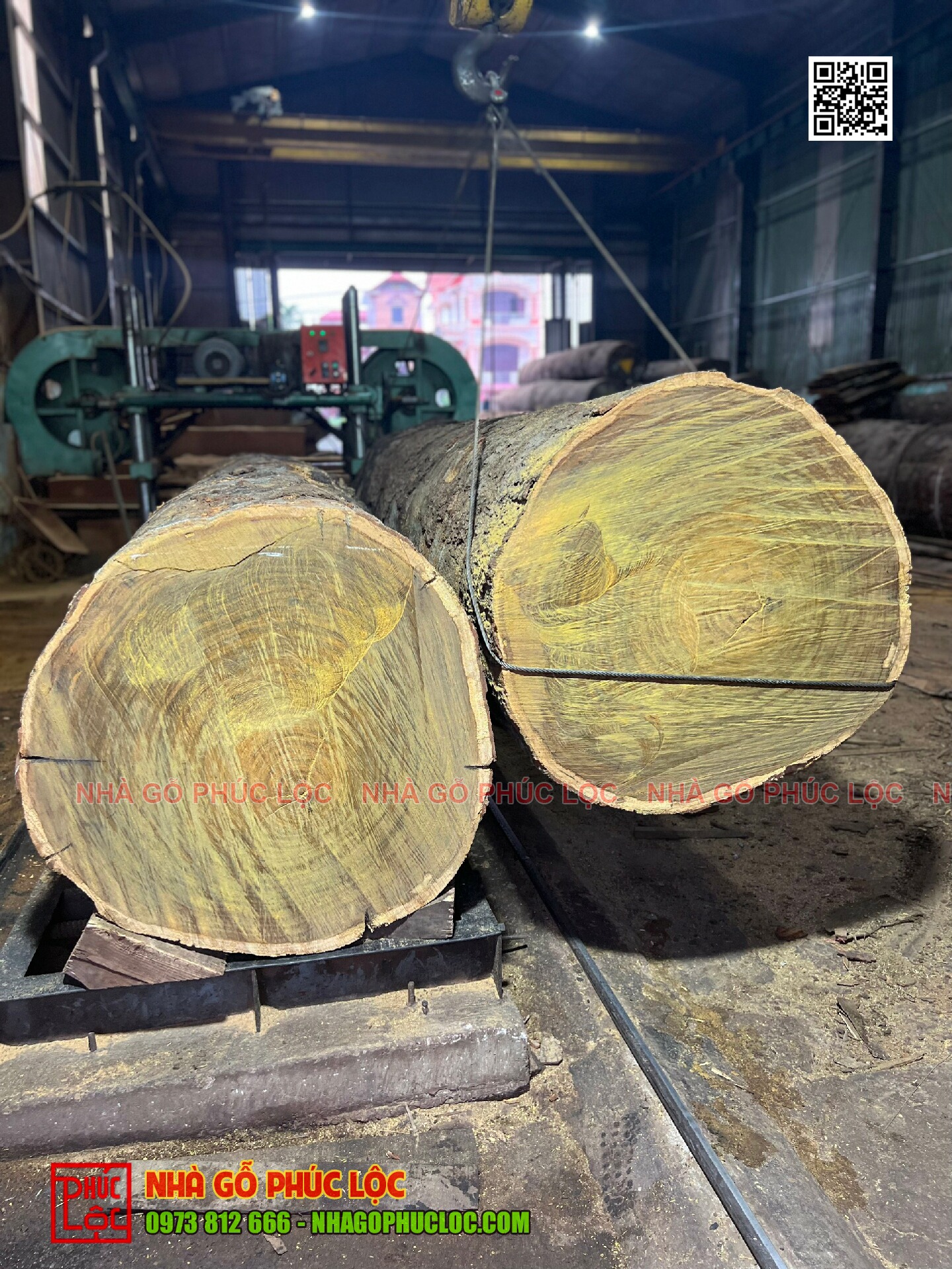 gỗ lim Nam Phi
